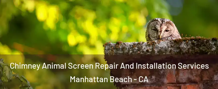  Chimney Animal Screen Repair And Installation Services Manhattan Beach - CA