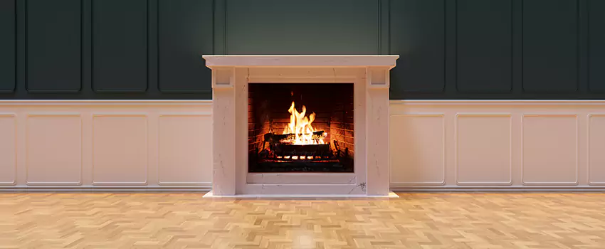 Napoleon Electric Fireplaces Inspection Service in Manhattan Beach, California