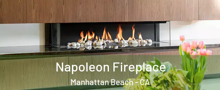  Napoleon Fireplace Manhattan Beach - CA